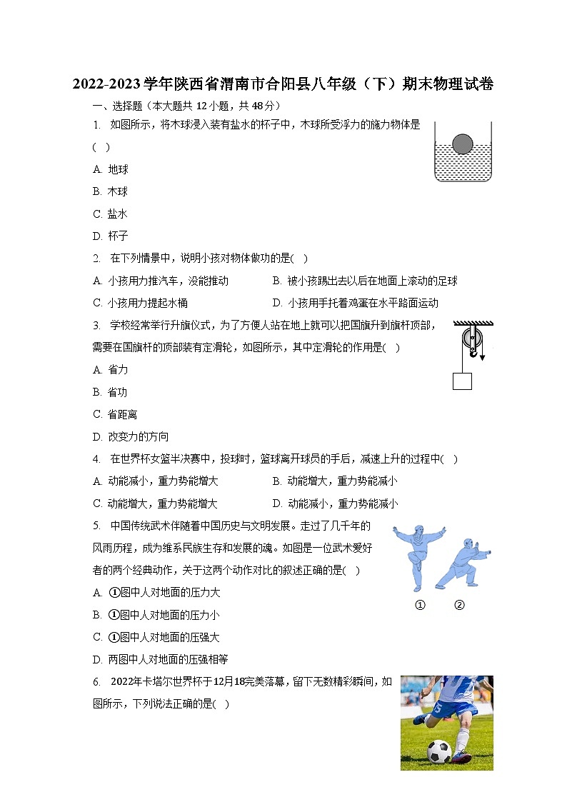 2022-2023学年陕西省渭南市合阳县八年级（下）期末物理试卷（含解析）第1页
