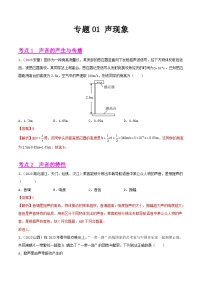 2023年中考物理真题分类汇编-专题01 声现象