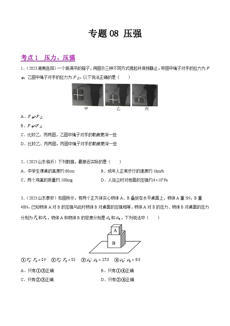 专题08 压强-2023年中考物理真题分类汇编（全国版）（试卷）第1页