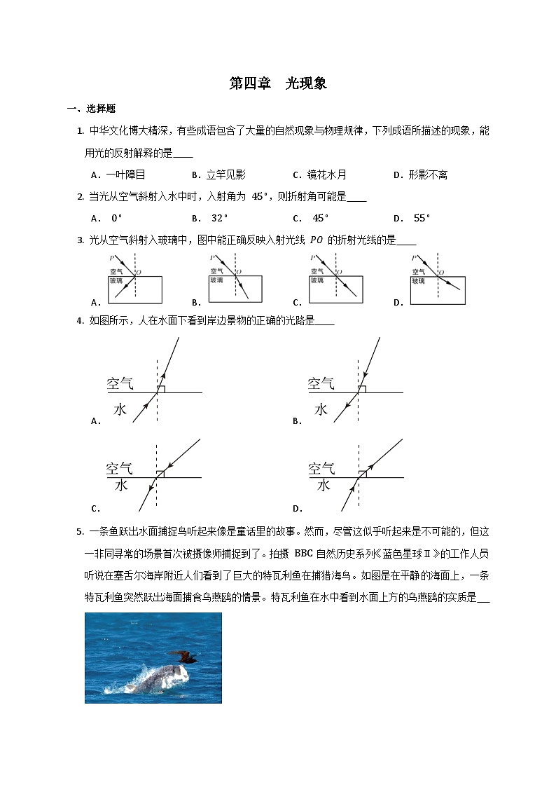 人教版物理八年级上册  第四章  光现象 单元试卷（无答案）01