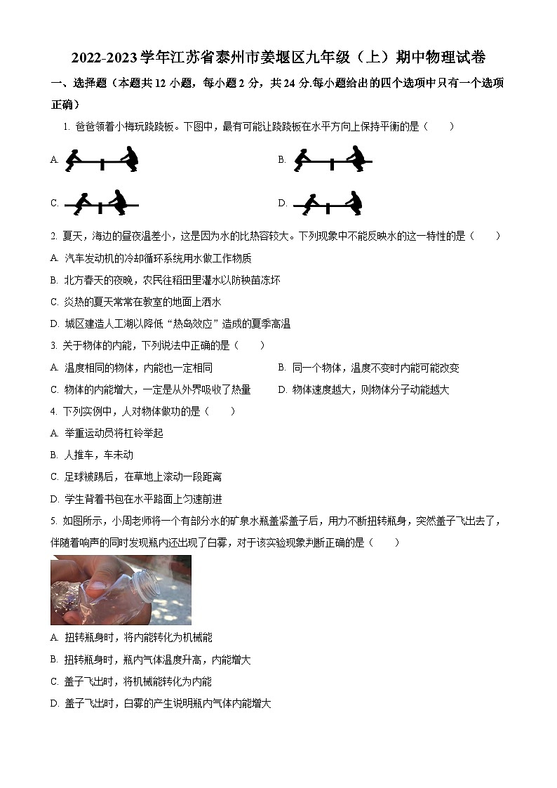 2022-2023学年度江苏省泰州市姜堰区九年级上学期期中物理试题01