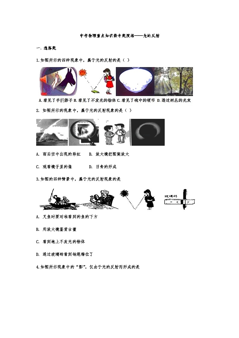 中考物理重点知识微专题演练——光的反射01