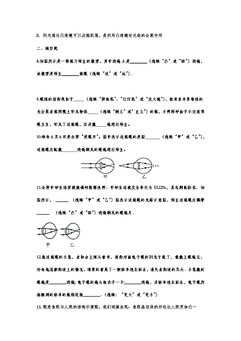 中考物理复习重点知识微专题演练——眼睛和眼镜第3页