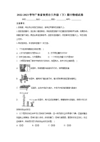 2022-2023学年广东省东莞市八年级（下）期中物理试卷（含解析）