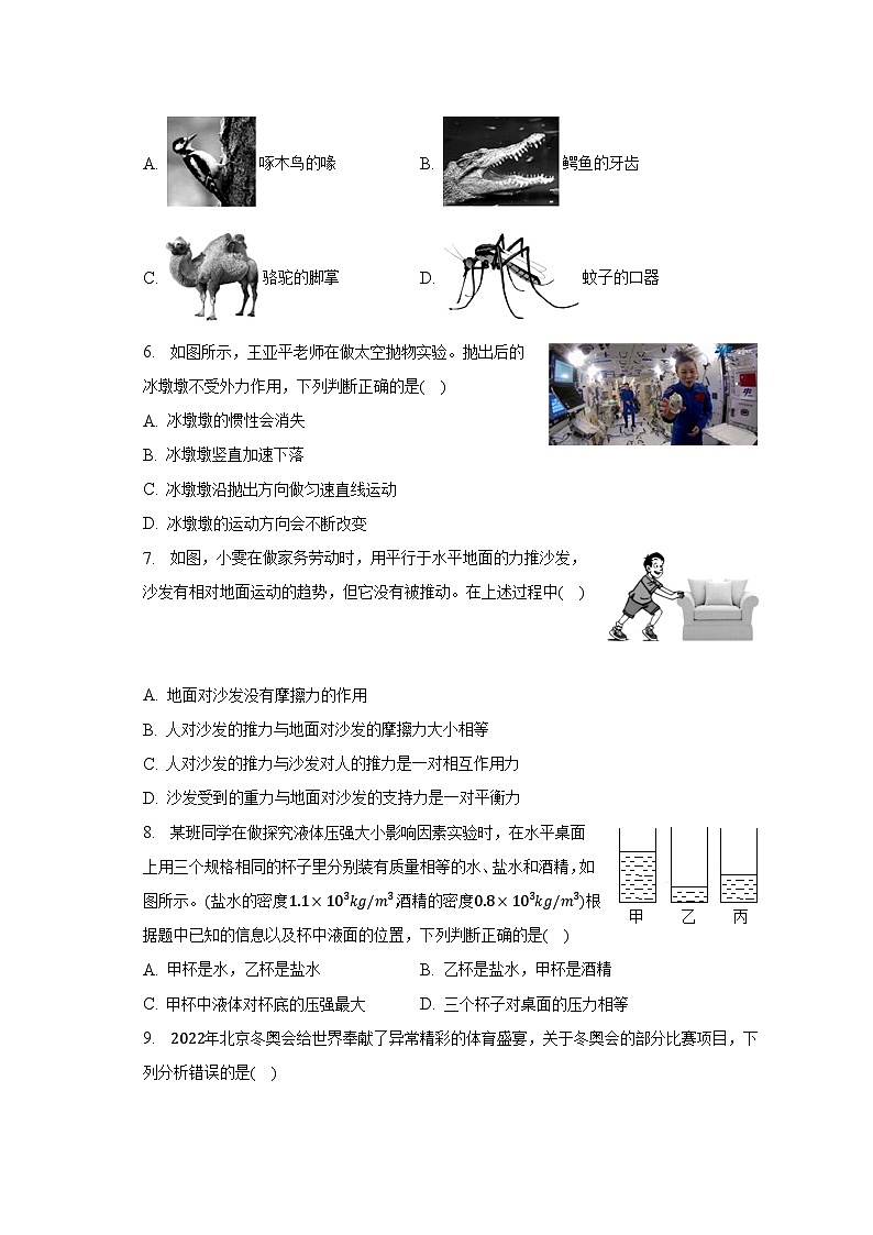 2022-2023学年辽宁省丹东市凤城市八年级（下）期中物理试卷（含解析）02