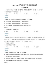 吉林省长春市朝阳区2022-2023学年八年级下学期期末物理试题（解析版）