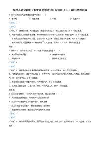 山东省青岛市市北区2022-2023学年八年级下学期期中物理试题（解析版）