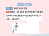 2023八年级物理下册第七章力与运动专题一力学作图作业课件新版沪科版