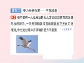 2023八年级物理下册第七章力与运动专题一力学作图作业课件新版沪科版