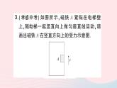 2023八年级物理下册第七章力与运动专题一力的示意图作业课件新版沪科版