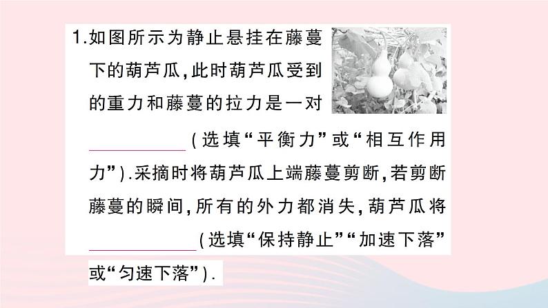 2023八年级物理下册第七章力与运动专题二力与运动的关系作业课件新版沪科版03