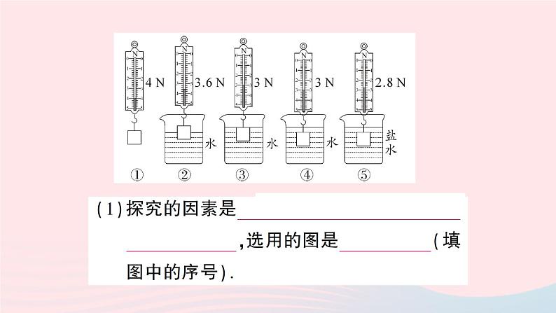 2023八年级物理下册第九章浮力专题六浮力的相关实验作业课件新版沪科版第4页