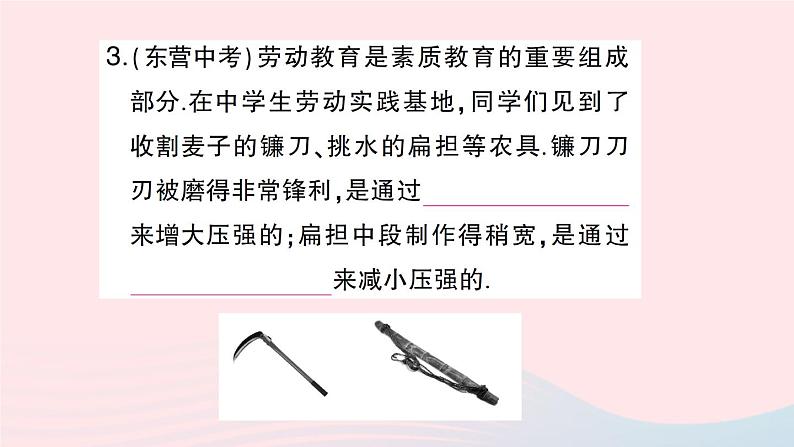 2023八年级物理下册第八章压强第一节压力的作用效果第二课时增大和减小压强作业课件新版沪科版第4页