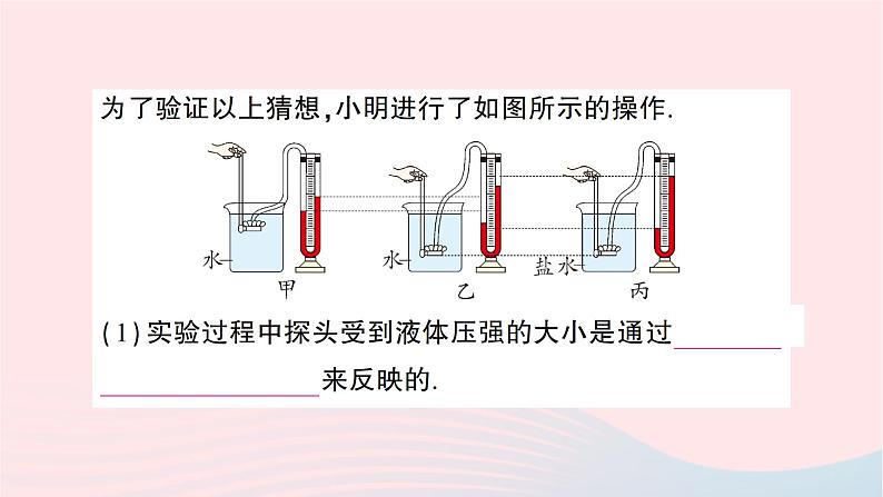 2023八年级物理下册第八章压强第二节科学探究液体的压强作业课件新版沪科版第3页