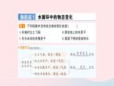 2023九年级物理全册第十二章温度与物态变化第一节温度与温度计作业课件新版沪科版