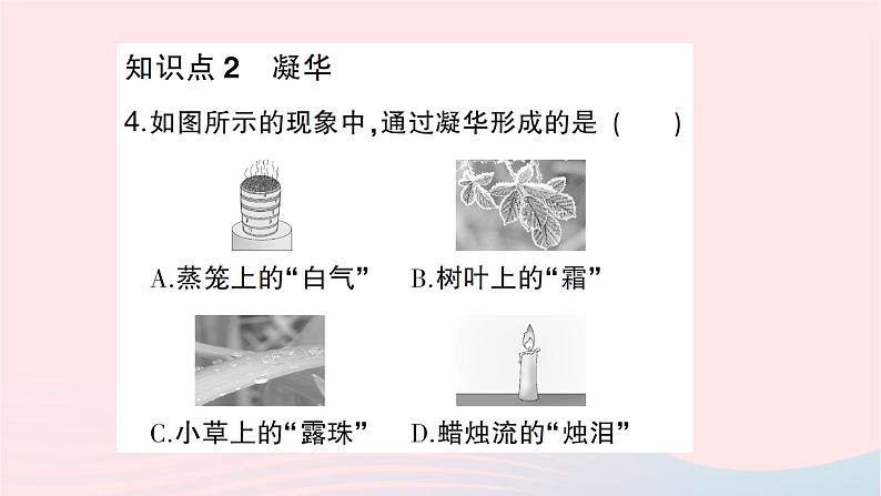 2023九年级物理全册第十二章温度与物态变化第四节升华与凝华作业课件新版沪科版第5页