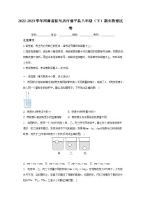 2022-2023学年河南省驻马店市遂平县八年级（下）期末物理试卷（含解析）