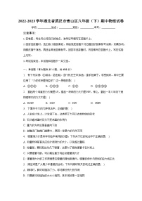 2022-2023学年湖北省武汉市青山区八年级（下）期中物理试卷（含解析）