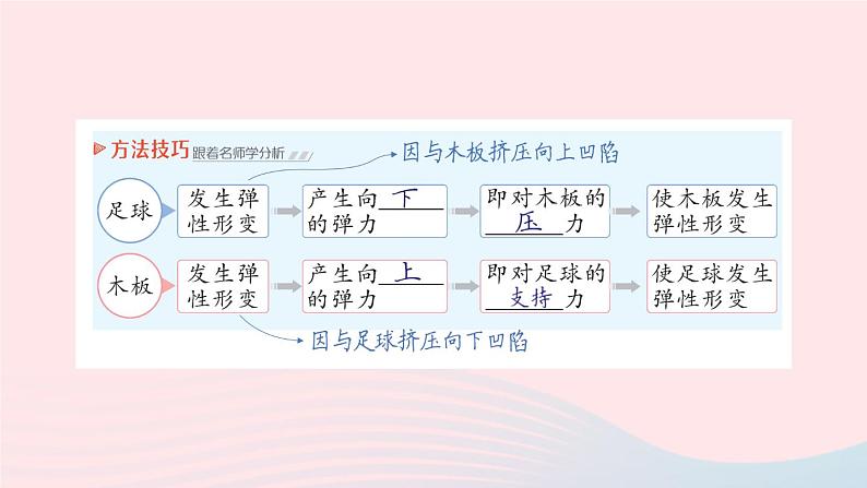 2023八年级物理下册第七章力第3节弹力弹簧测力计作业课件新版教科版第8页