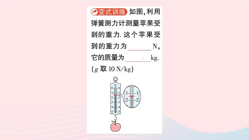 2023八年级物理下册第七章力第4节重力作业课件新版教科版05