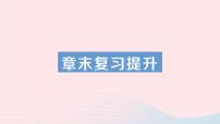 初中物理教科版八年级下册1 压强复习ppt课件