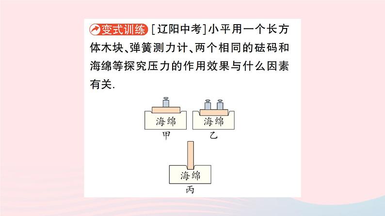 2023八年级物理下册第九章压强第1节压强作业课件新版教科版第7页