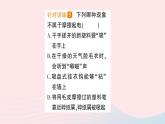 2023九年级物理上册第三章认识电路第1节电现象作业课件新版教科版