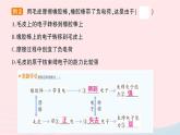 2023九年级物理上册第三章认识电路第1节电现象作业课件新版教科版