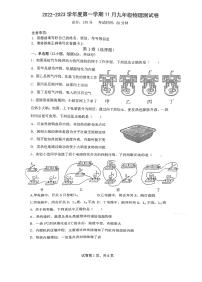 四川省内江市资中县2022-2023学年九年级上学期11月月考物理试题