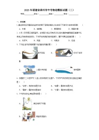 2023年福建省漳州市中考物理模拟试题（三）（含解析）