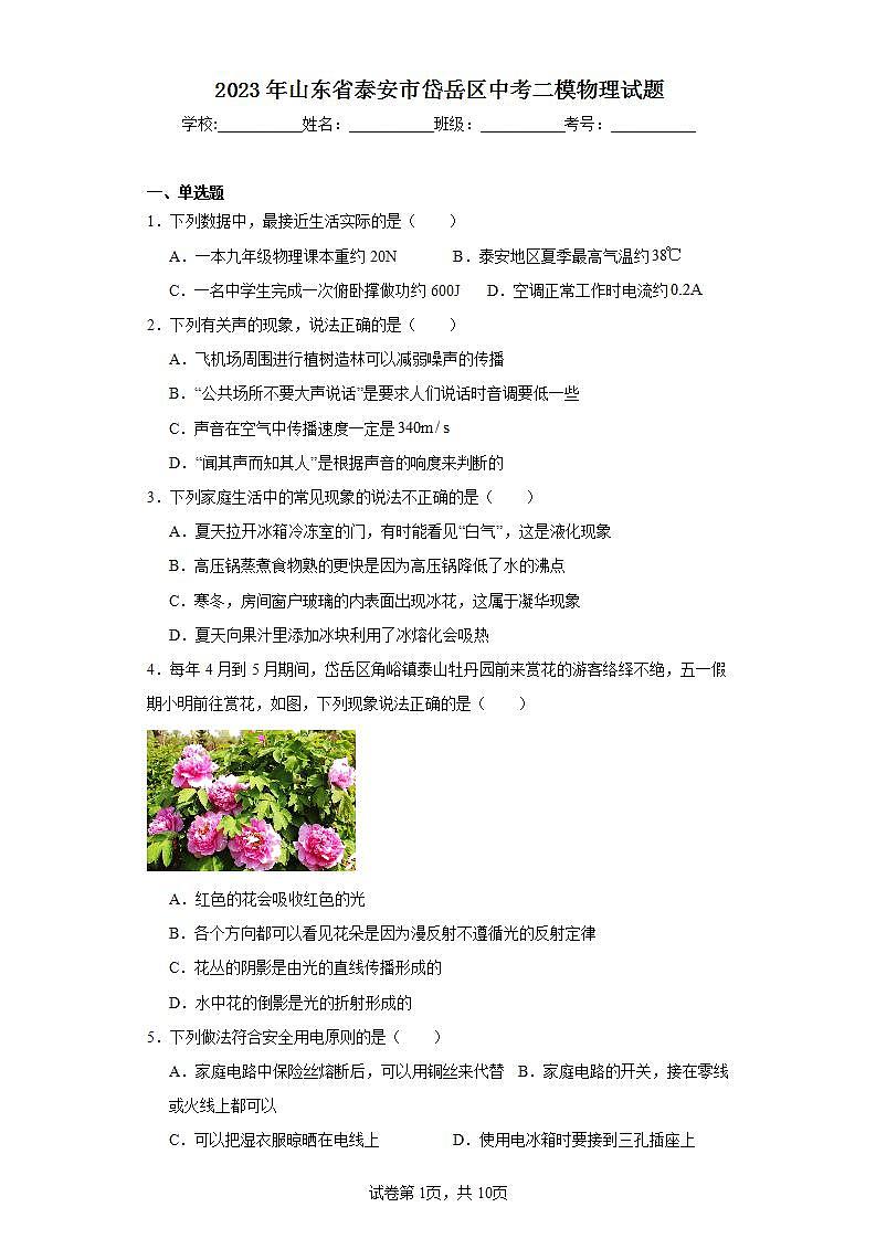 2023年山东省泰安市岱岳区中考二模物理试题（含解析）第1页