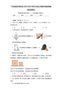 广东省茂名市电白区2023-2024学年九年级上学期开学测试物理试题