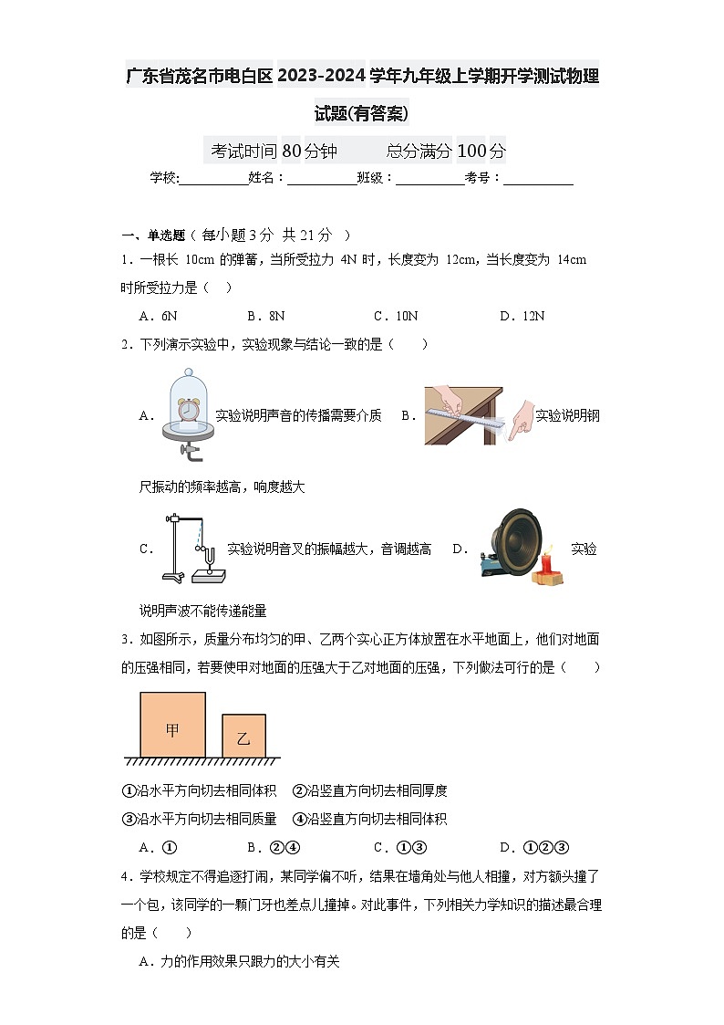 广东省茂名市电白区2023-2024学年九年级上学期开学测试物理试题第1页