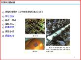 13.1 初识家用电器和电路 -2023-2024学年九年级上册物理同步备课课件（苏科版）