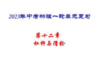 中考物理复习----杠杆、滑轮复习课件PPT