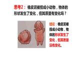 中考物理一轮复习课件   质量和密度