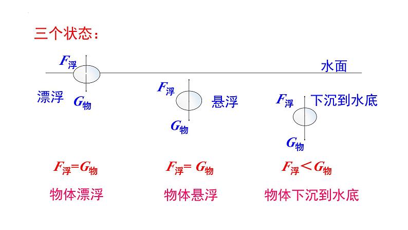 -中考物理一轮复习人教版 物体的浮沉条件课件PPT第3页