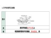 中考物理一轮复习课件：质量、密度的理解及计算