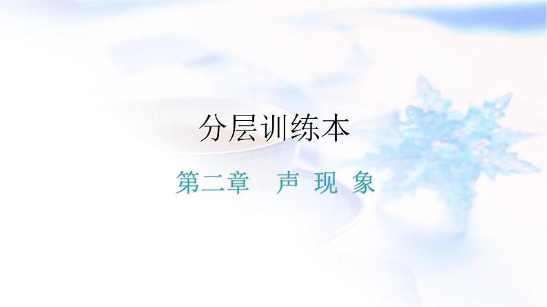 人教版中考物理复习第二章声现象课件第1页