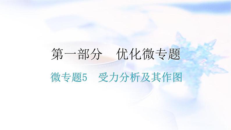 人教版中考物理复习微专题5受力分析及其作图课件01