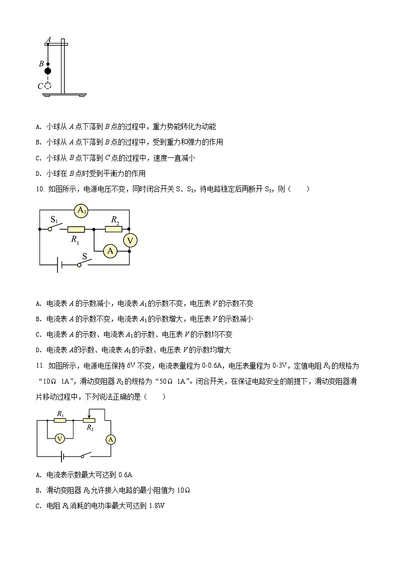 2022年四川省凉山州中考物理试题（原卷版）03