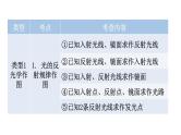 沪科版中考物理复习专题一作图专题类型1光学作图教学课件