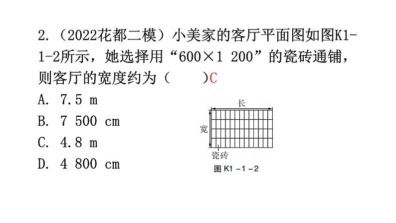 沪科版中考物理复习第一章走进物理世界分层训练课件04