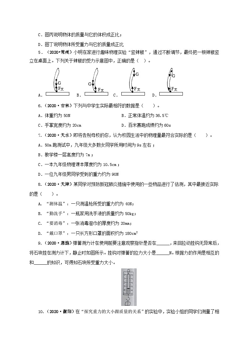 课时7.3  重力（备作业）八年级物理下册同步备课系列（人教版）02