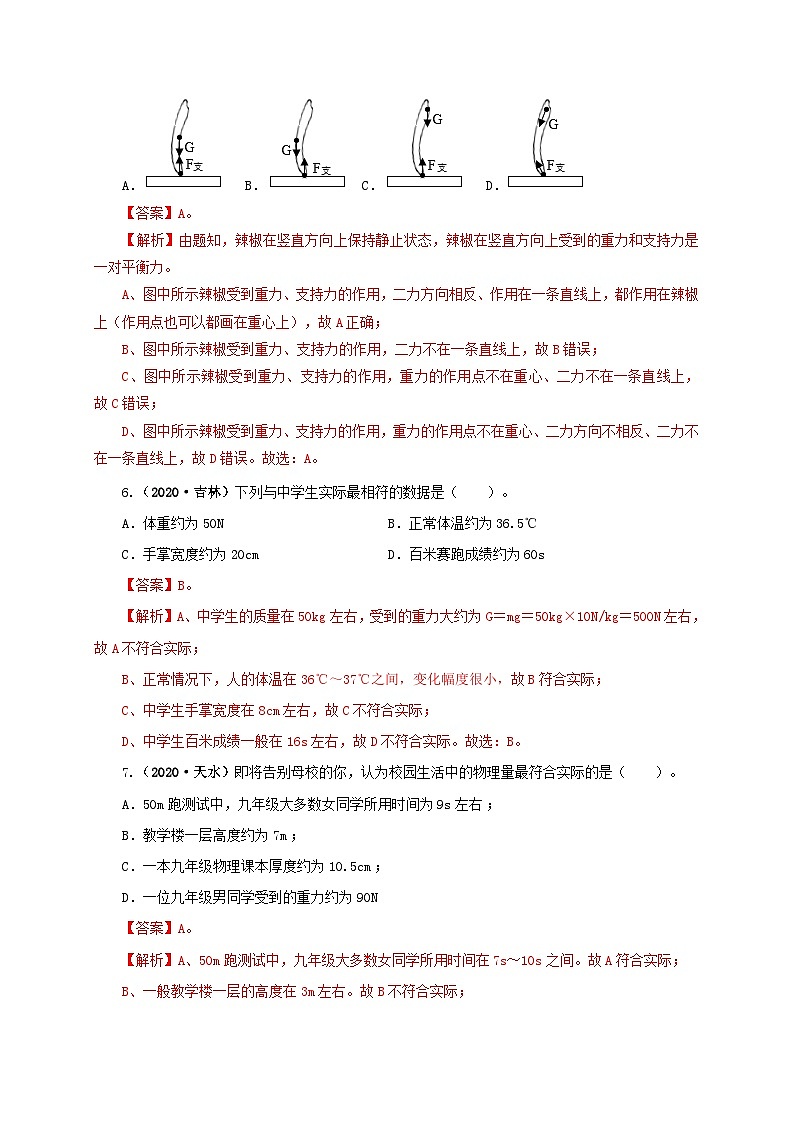 课时7.3  重力（备作业）八年级物理下册同步备课系列（人教版）03