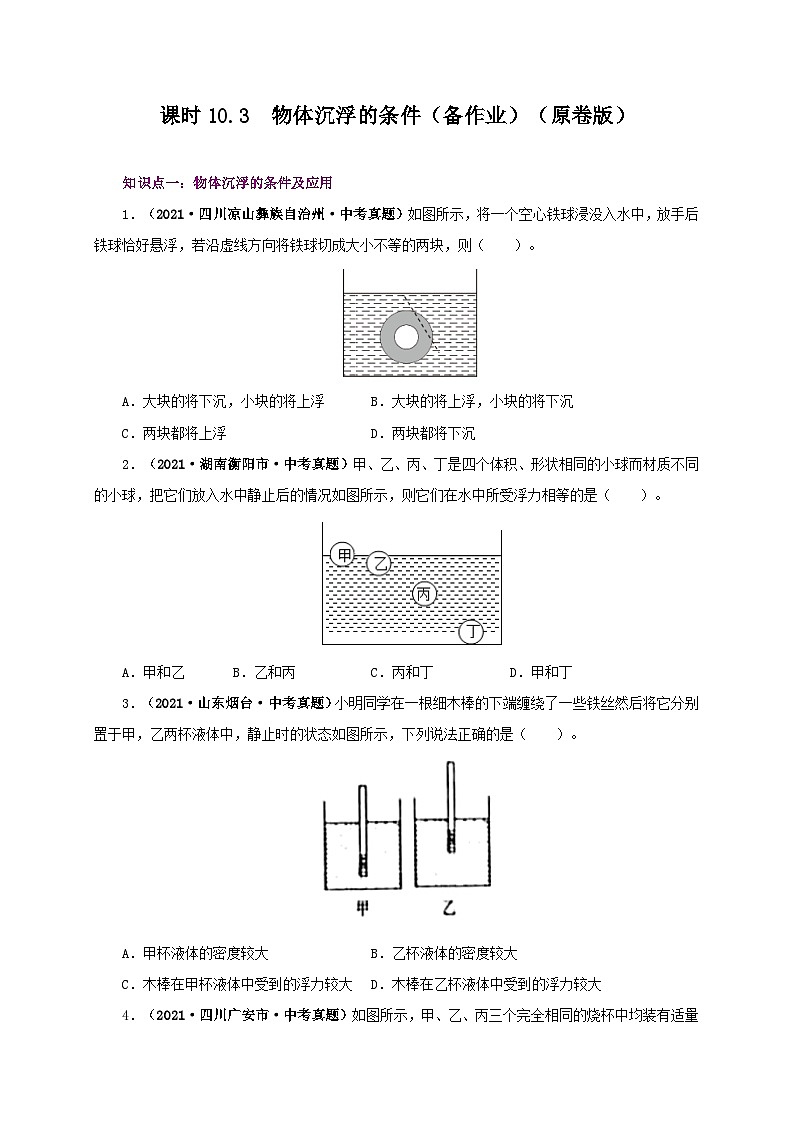 课时10.3  物体的沉浮条件及应用（备作业）（原卷版）第1页