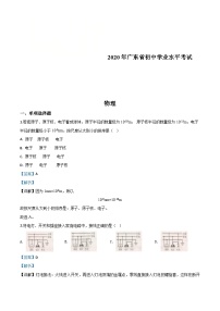 2020年广东省中考物理试题（含解析）