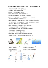 湖北省武汉市2023-2024学年九年级上学期开学物理试卷