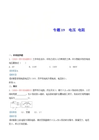 中考物理一轮复习巩固练习专题18  电压 电阻（含解析）