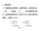 人教版八年级物理上册第五章第4节眼睛和眼镜教学课件